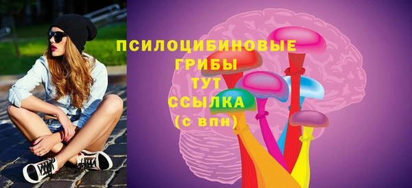 индика Алзамай