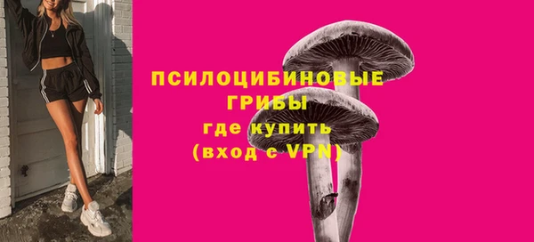 прущие крисы Алексеевка