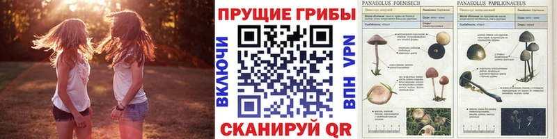 Псилоцибиновые грибы ЛСД Кремёнки
